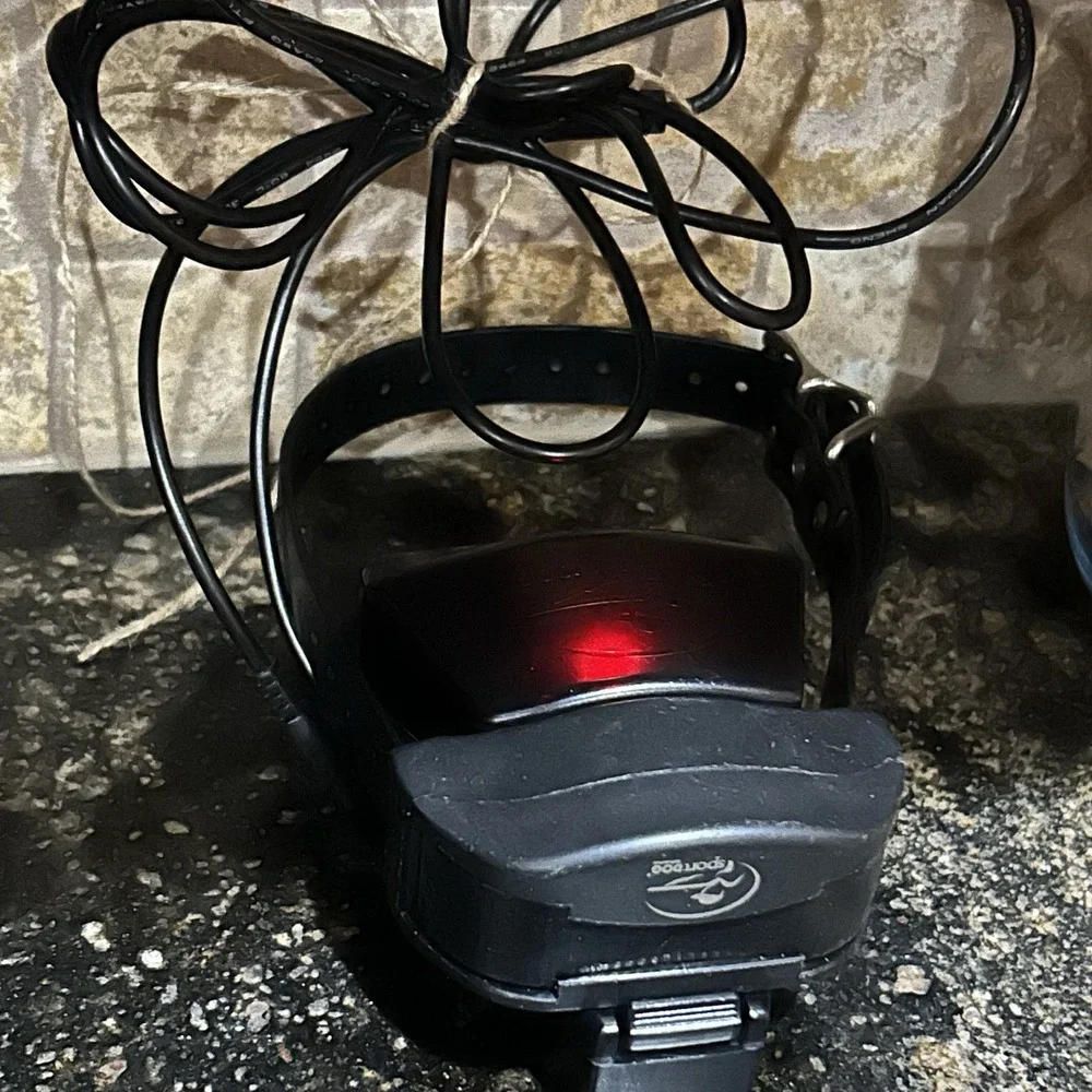 SportDOG Collar SDT00-12490 & Transmitter SDT00-12274 WITH Charger EUC